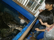 2014.08.09. ゼミ旅行 ＠ 福井