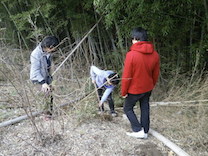 タケノコ掘り17