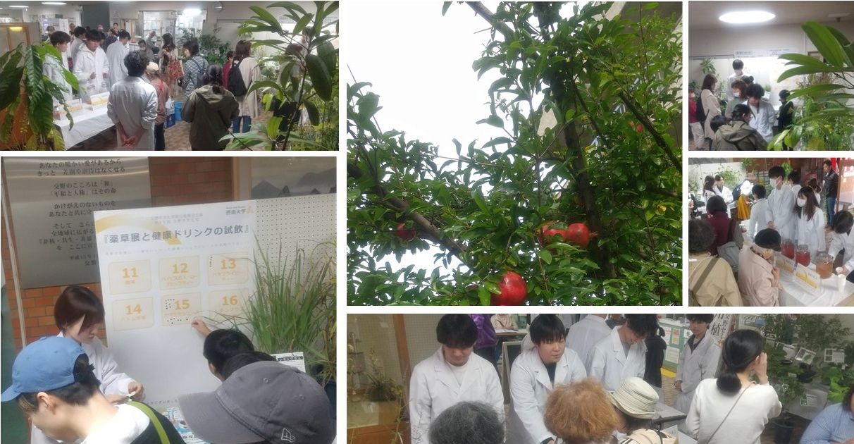 交野市文化祭2025