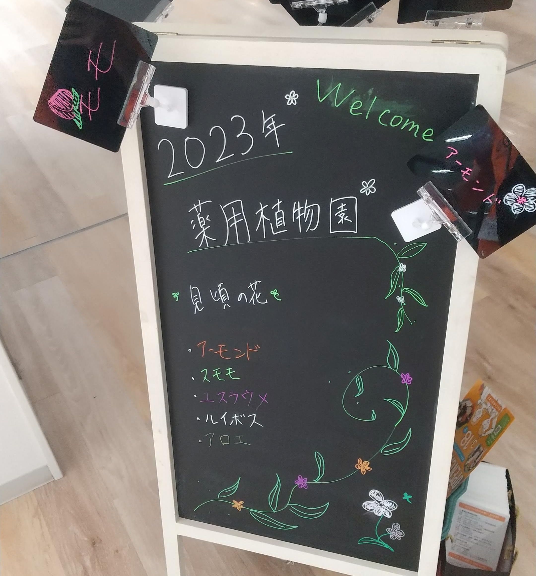 オープンキャンパス2023a