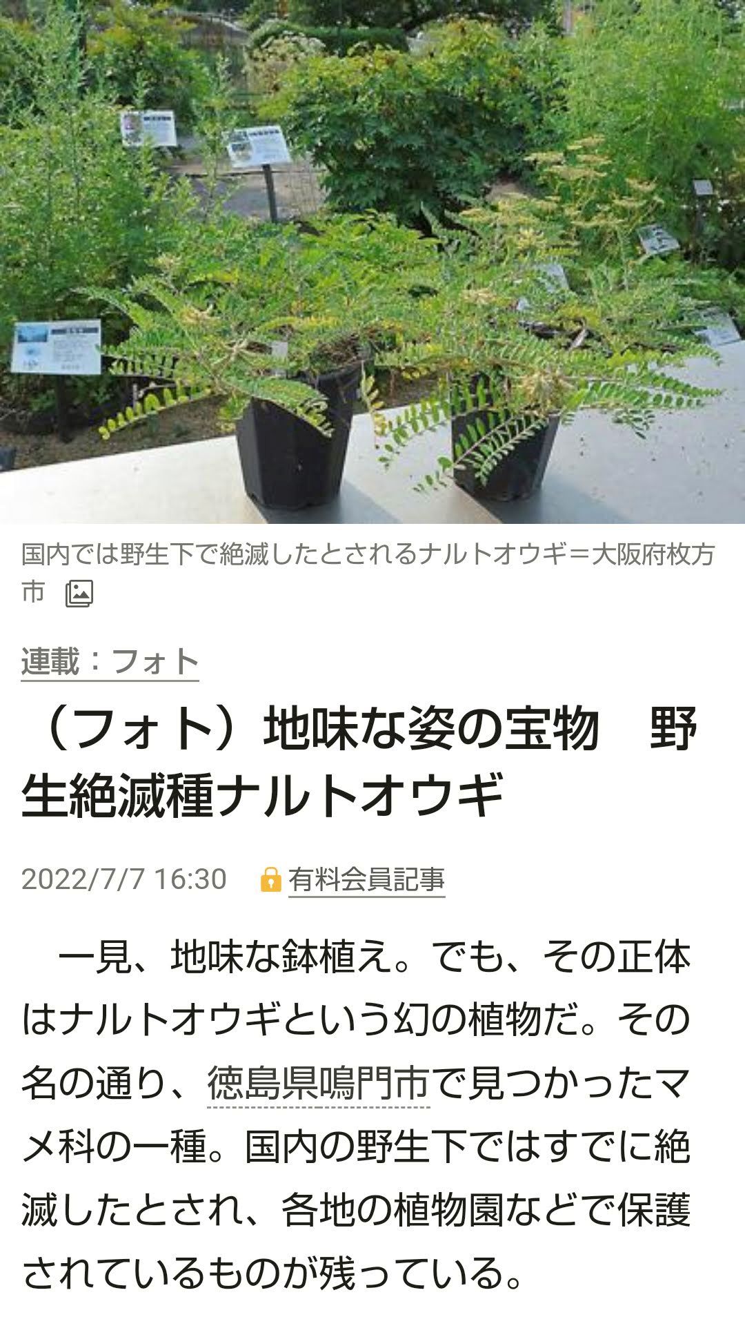 朝日新聞
