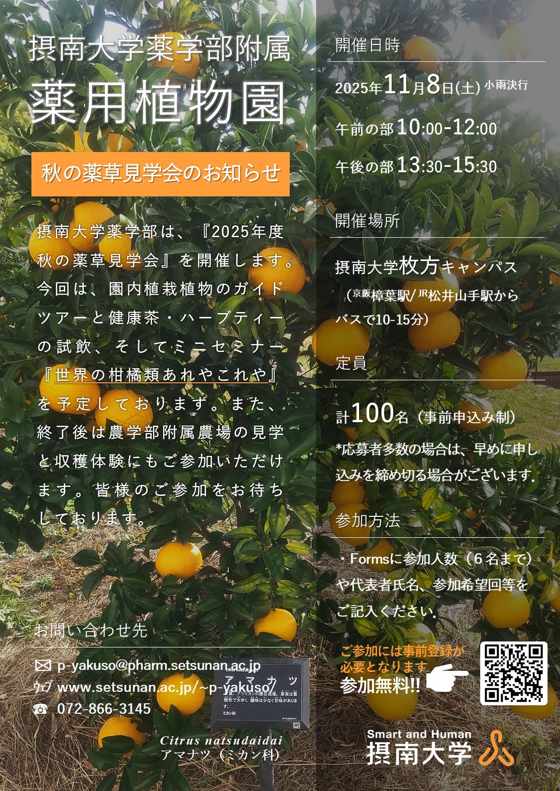 ポスター/Poster