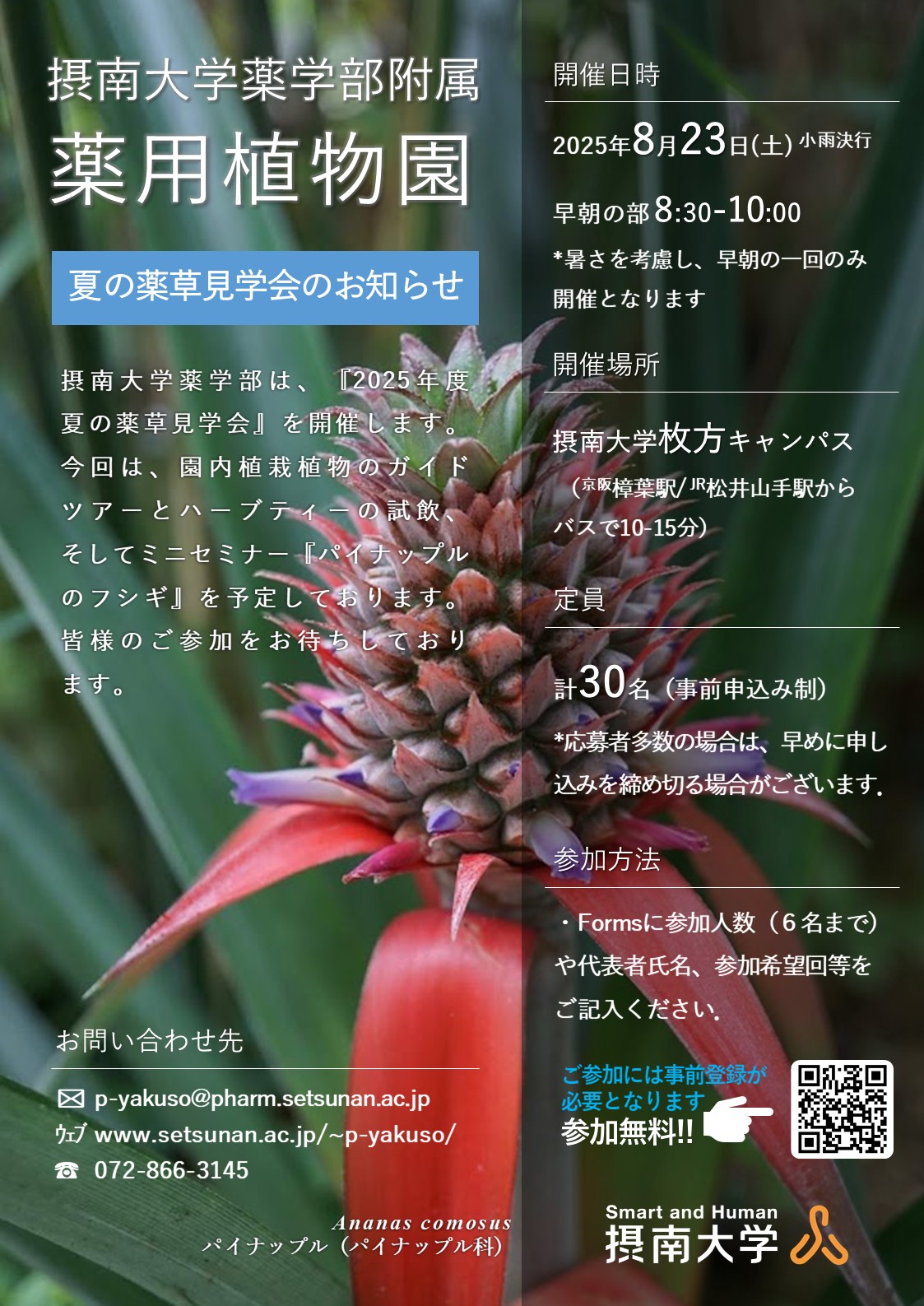 ポスター/Poster