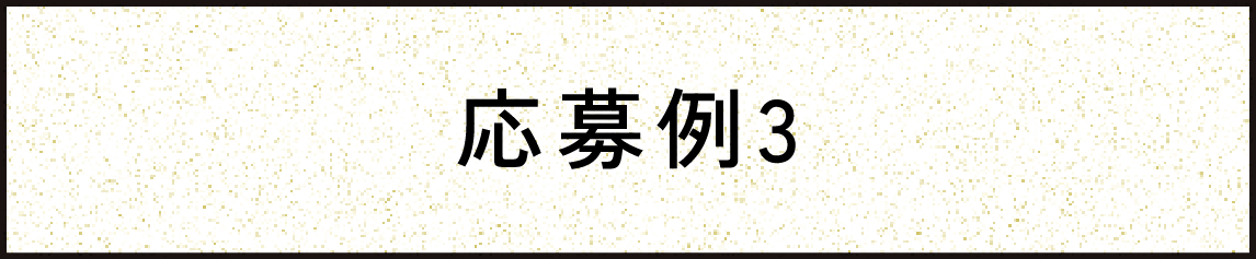 応募例3