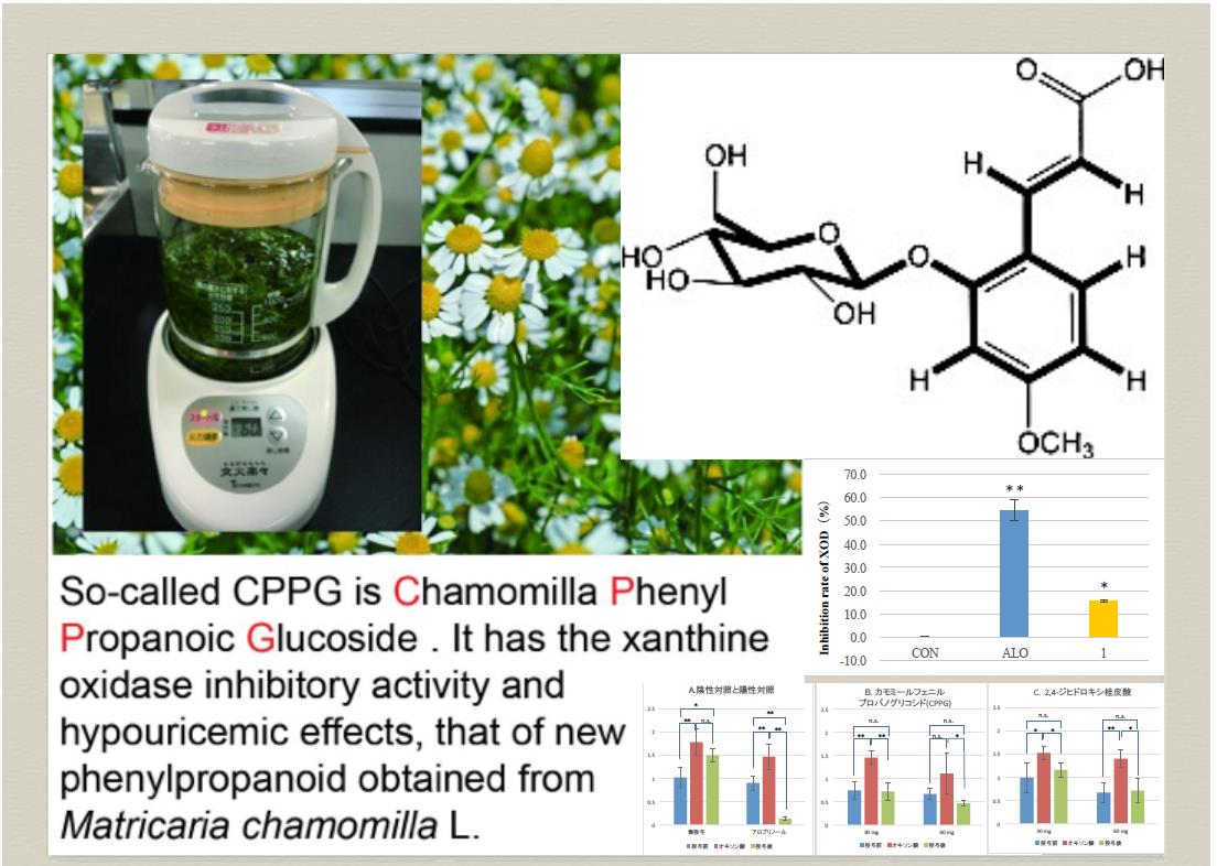 薬学部 ラボ なう ｎｏ ２０ 田中 龍一郎 講師 生命融合化学分野 摂南大学