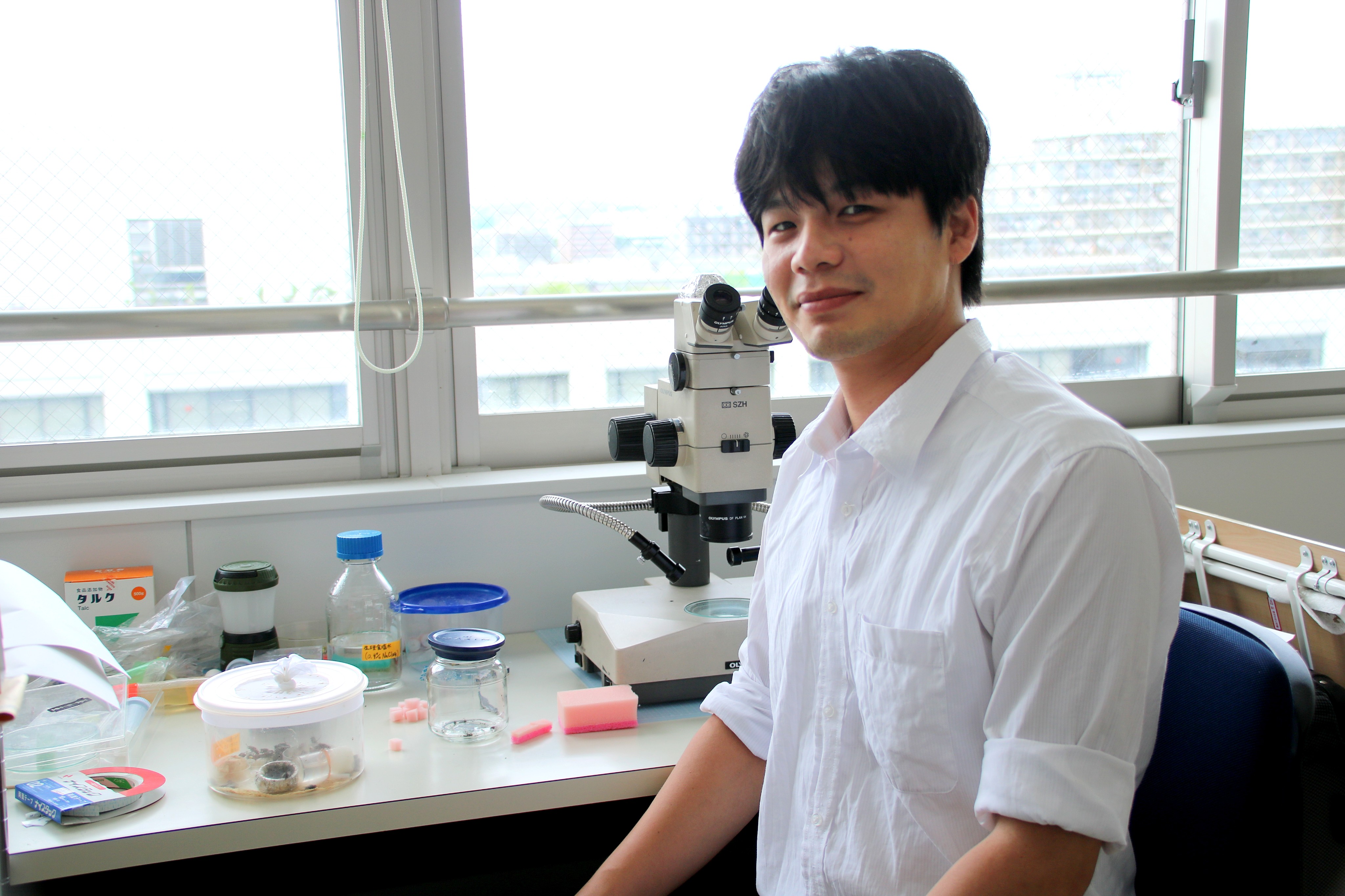 摂南大学 摂南大学