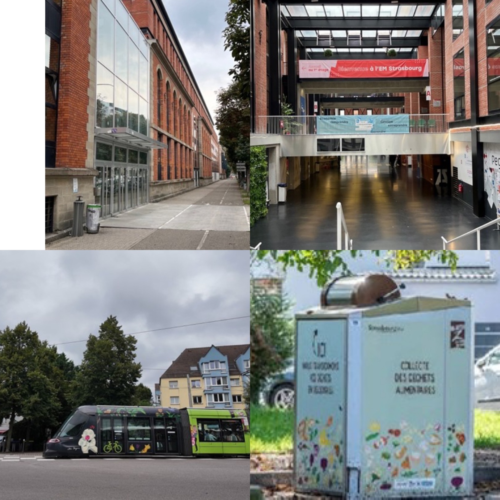 左上【写真1】、右上【写真2】、左下【写真3】、右下【写真4】