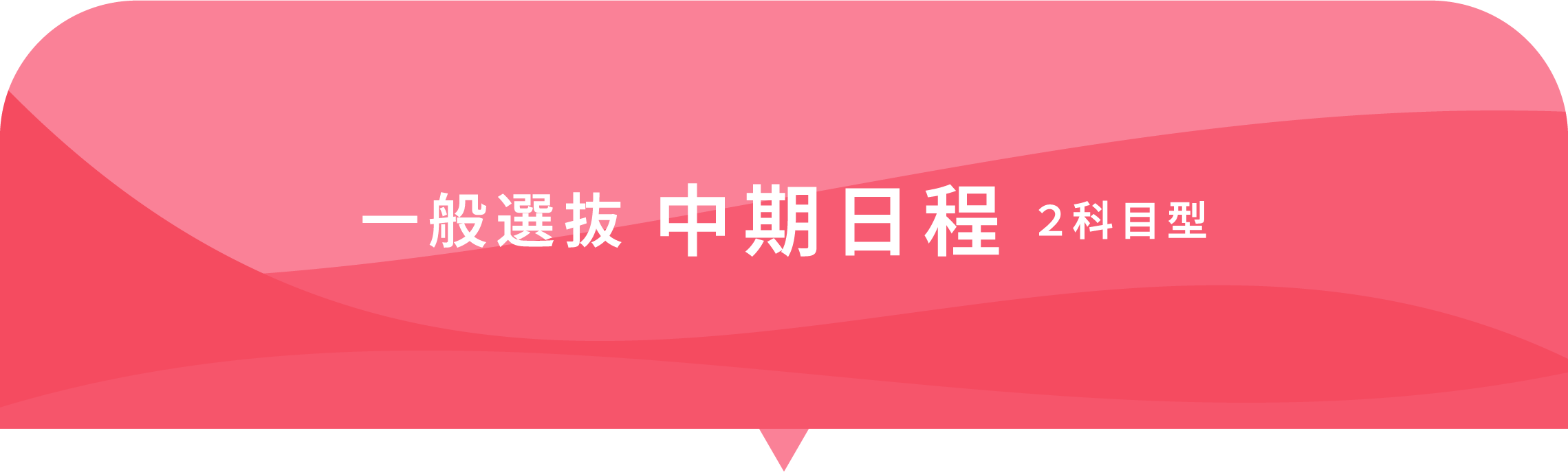 一般選抜 中期日程 2科目型