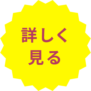 詳しく見る