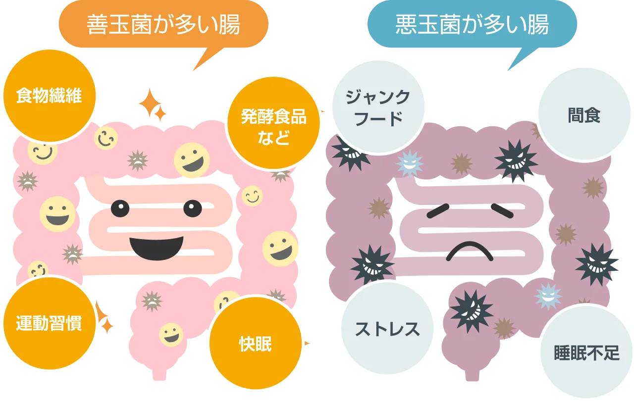 生活習慣の情報はエンテロタイプに反映される