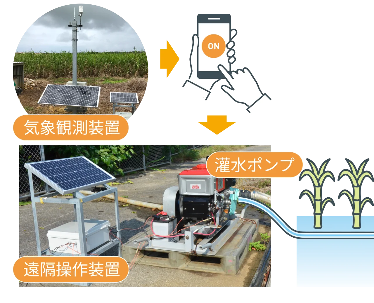 局地的な気象情報や成育状況から適切な灌水量・タイミングを判断し、アプリを使って灌水管理。