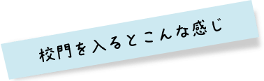 校門を入るとこんな感じ
