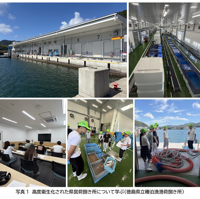 /upload/news/content/20260902-1.jpg