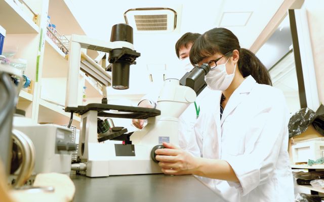 摂南大学薬学部公式HP/Setsunan Pharm Official