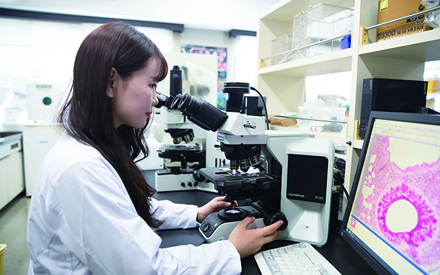 摂南大学薬学部公式HP/Setsunan Pharm Official