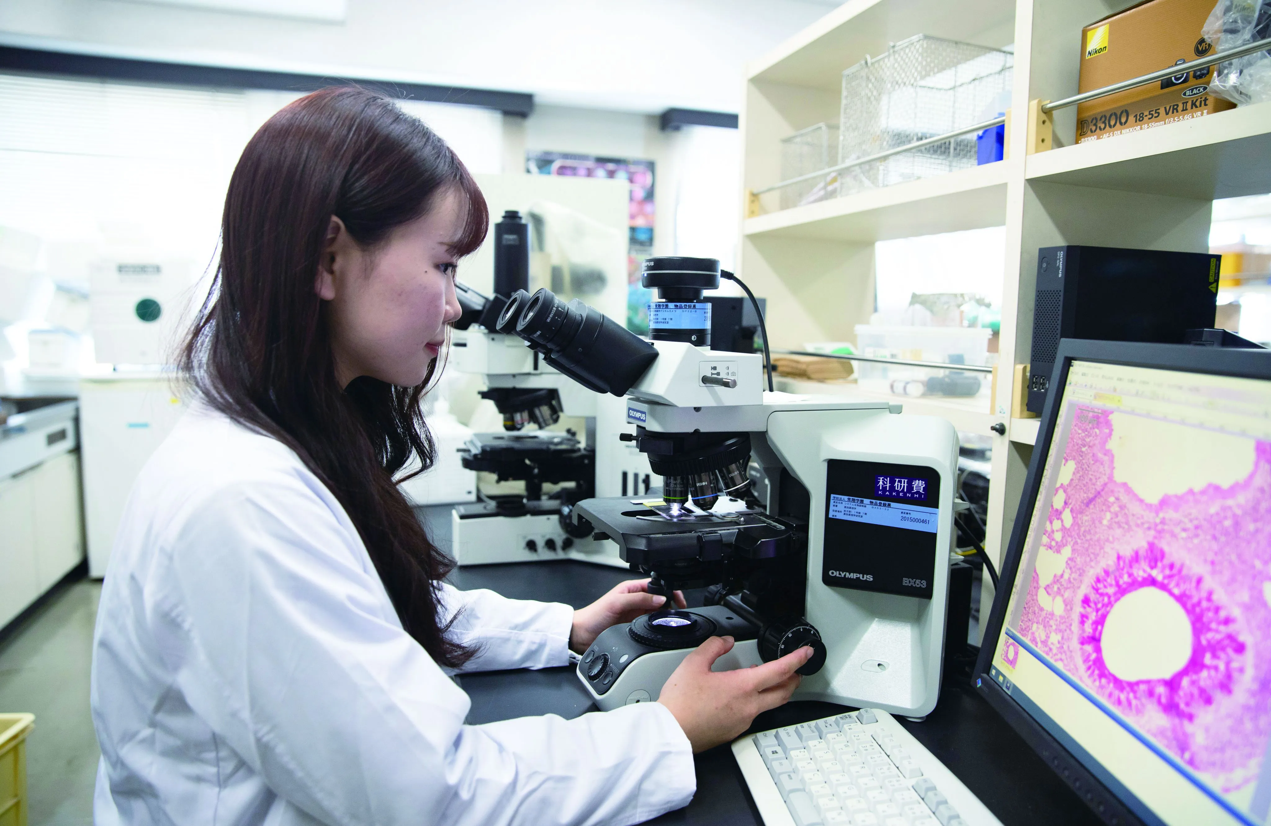 Research Photo 1