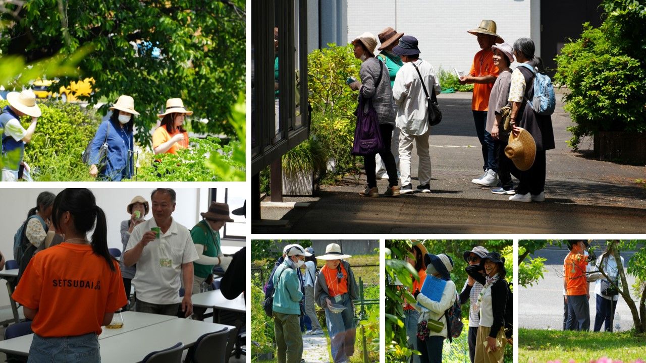 春の薬草見学会2026