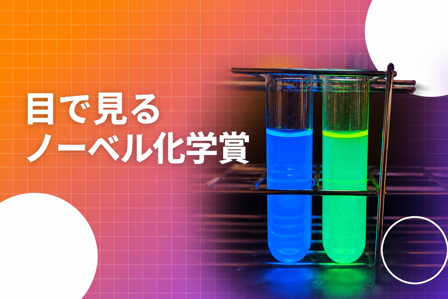 目で見るノーベル化学賞