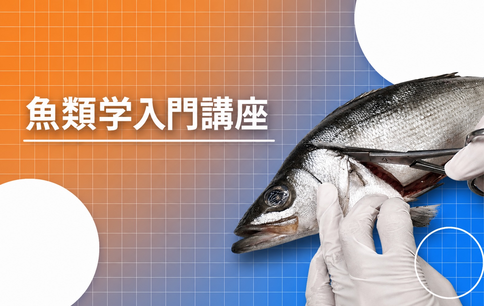 魚類学入門講座