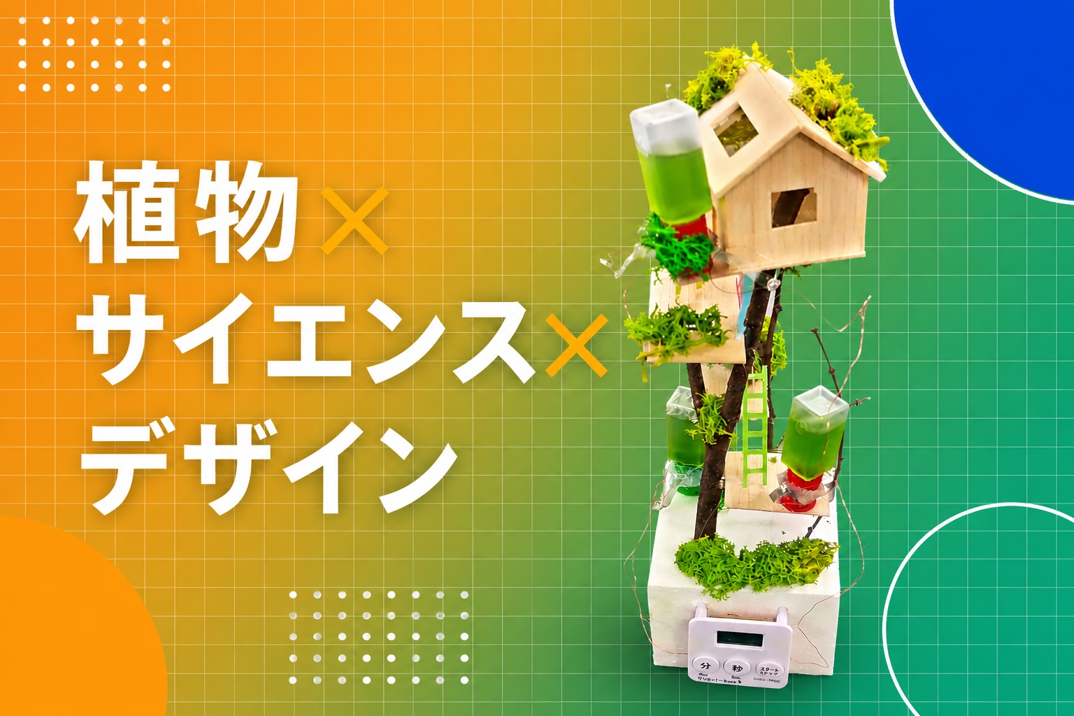 モリンガと光合成建築