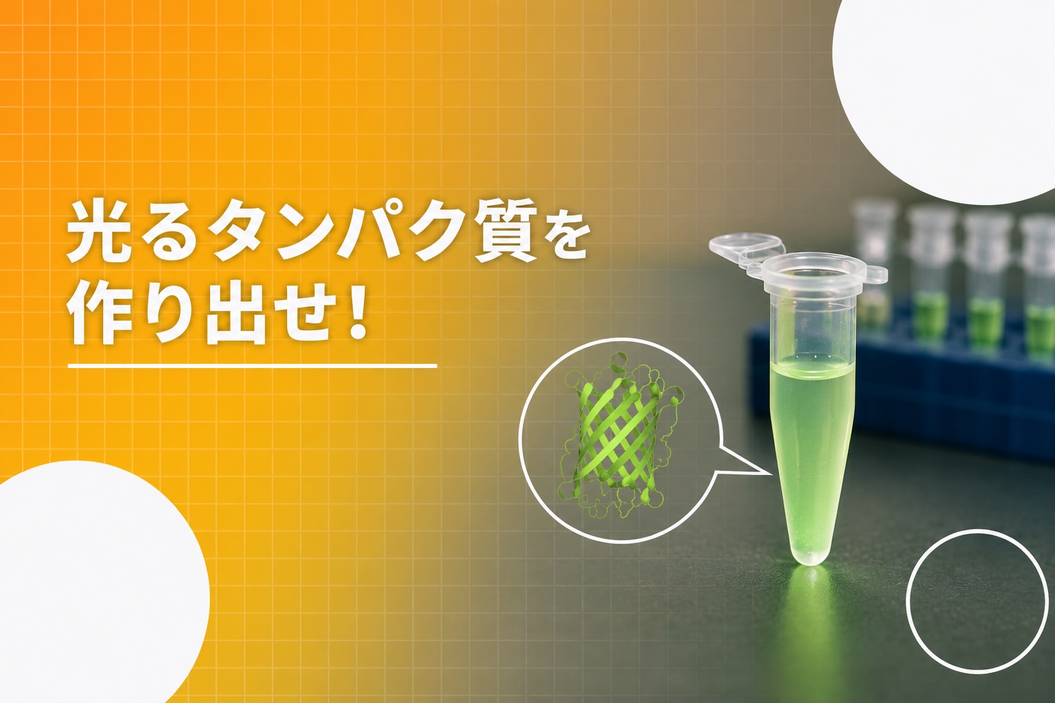 光るタンパク質